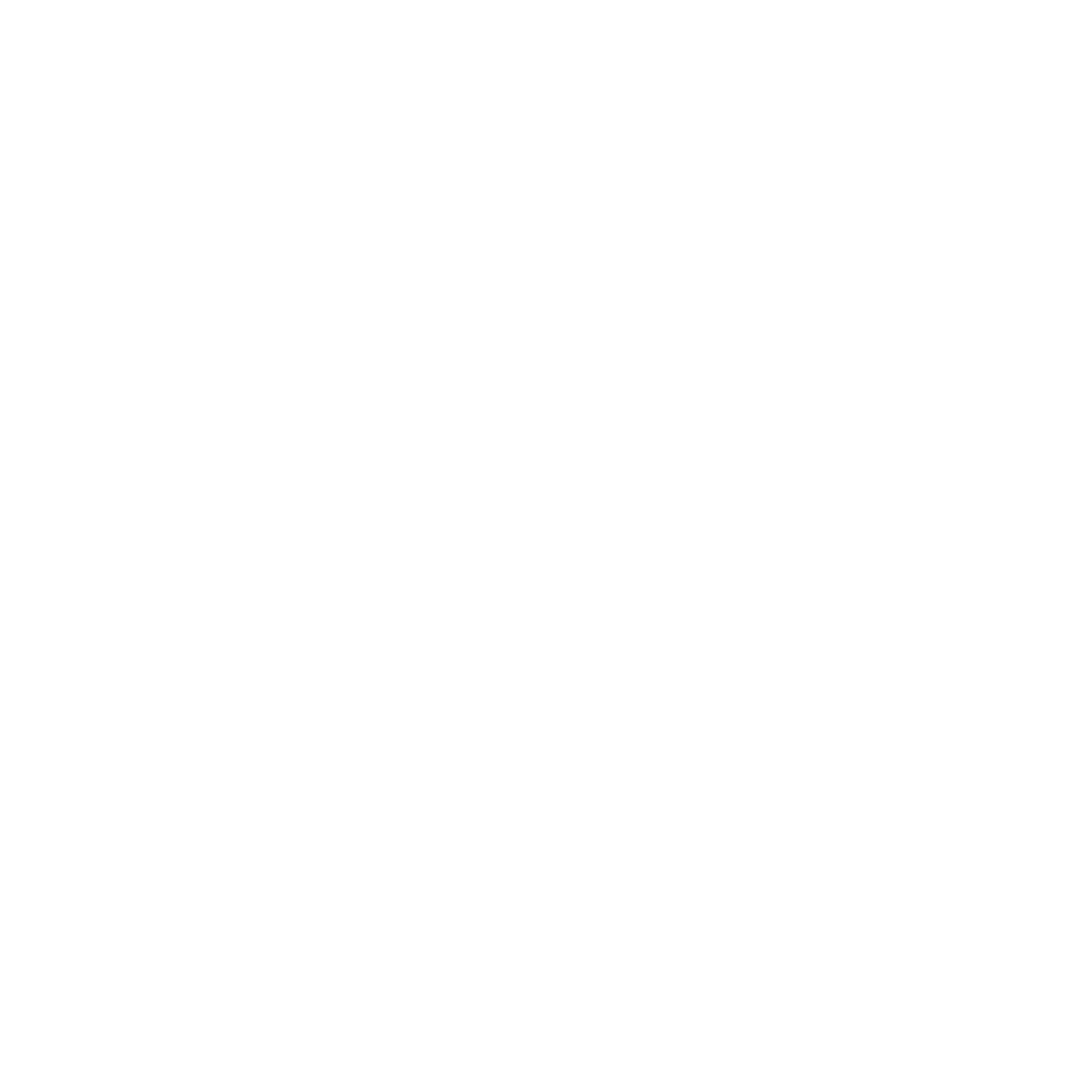 Home 22 Blaze Brand Logo